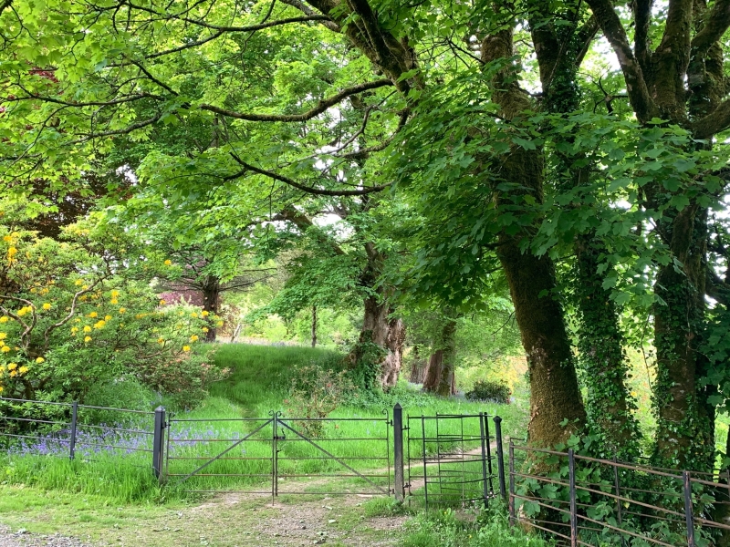 Trebartha Estate Garden and Country Garden at Lemarne